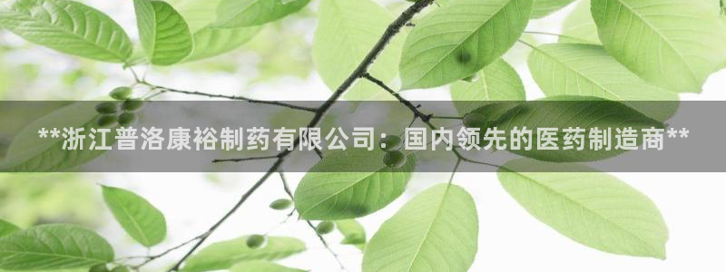 老哥俱乐部是干什么的：**浙江普洛康裕制药有限公司：国内领先的医药制造商**