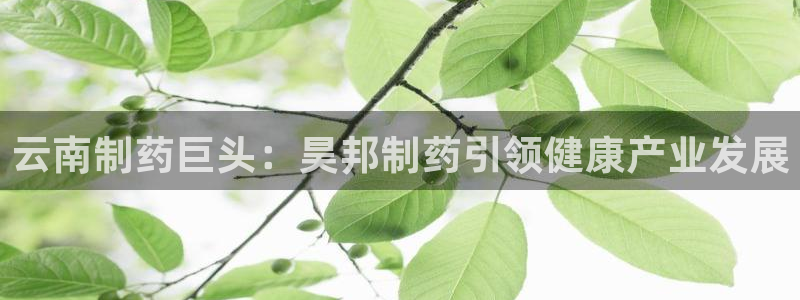 九游老哥俱乐部官网登录不了：云南制药巨头：昊邦制药引领健康产业发展