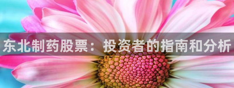 九游会老哥必备的交流社区九：东北制药股票：投资者的指南和分析