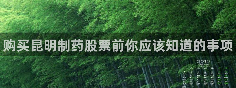 九游老哥俱乐部官网登录入口：购买昆明制药股票前你应该知道的事项