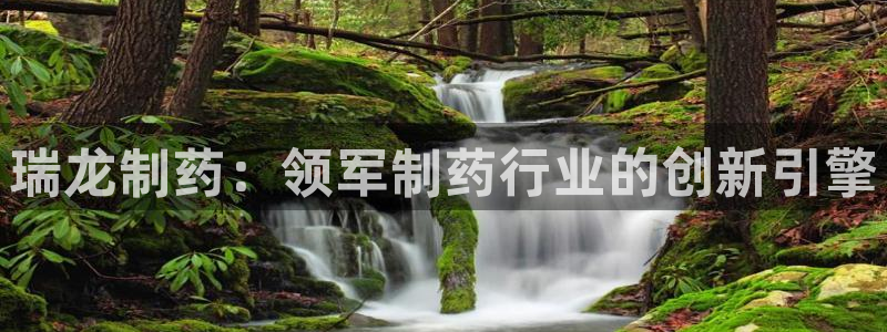 j9九游会老哥俱乐部交流区：瑞龙制药：领军制药行业的创新引擎