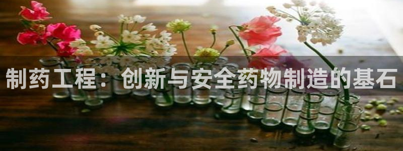 九游老哥俱乐部官网登录：制药工程：创新与安全药物制造的基石