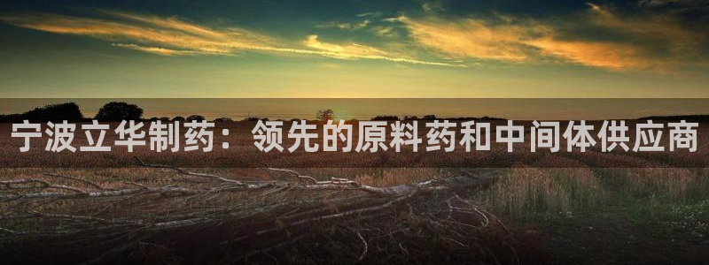 九游会老哥俱乐部论坛版：宁波立华制药：领先的原料药和中间体供应商