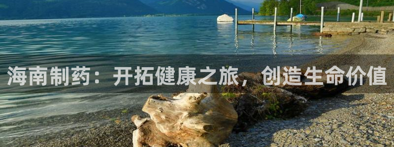 老哥俱乐部是干什么的：海南制药：开拓健康之旅，创造生命价值