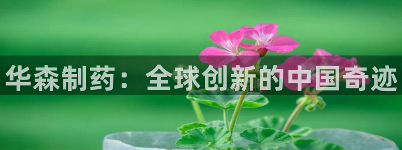 9游会老哥：华森制药：全球创新的中国奇迹