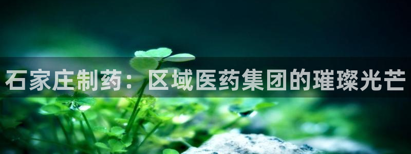 九游会老哥俱乐部官方网站：石家庄制药：区域医药集团的璀璨光芒