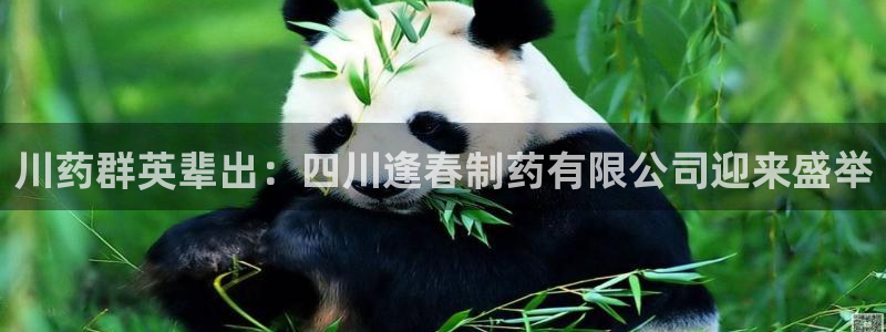 九游老哥俱乐部官网登录网址：川药群英辈出：四川逢春制药有限公司迎来盛举