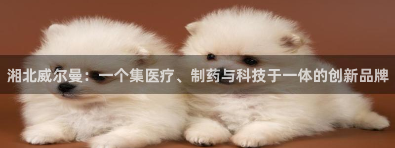 九游会老哥俱乐部必备的交流社区：湘北威尔曼：一个集医疗、制药与科技于一体的创新品牌