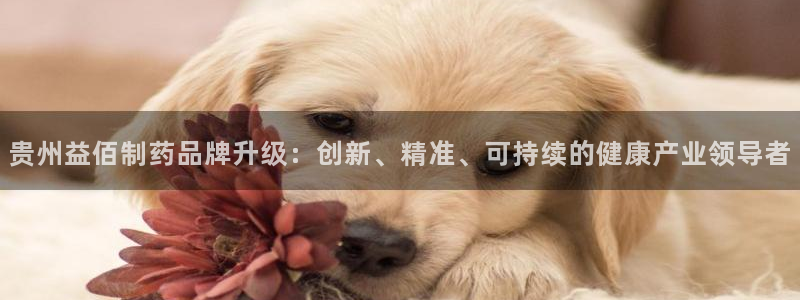 九游会老哥俱乐部交流社区：贵州益佰制药品牌升级：创新、精准、可持续的健康产业领导者