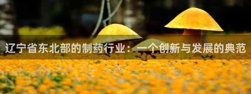 九游会老哥俱乐部社区论坛：辽宁省东北部的制药行业：一个创新与发展的典范