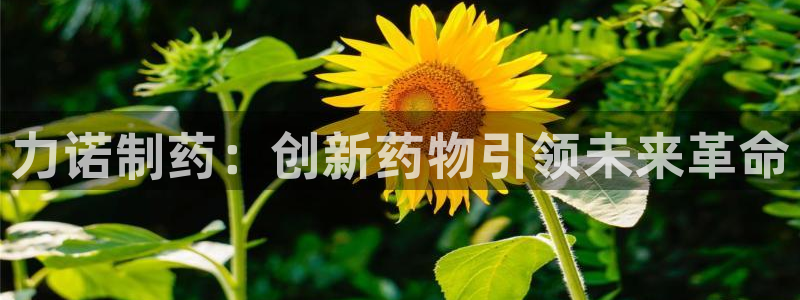 九游老哥俱乐部官网登录入口：力诺制药：创新药物引领未来革命