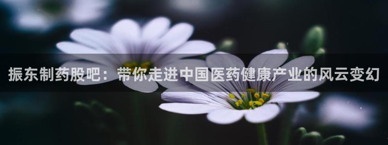 老哥俱乐部是干什么的啊：振东制药股吧：带你走进中国医药健康产业的风云变幻