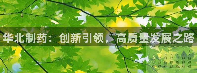 九游会老哥俱乐部官网首页：华北制药：创新引领，高质量发展之路