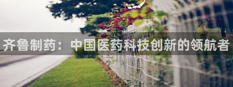 九游老哥俱乐部官网登录入口：齐鲁制药：中国医药科技创新的领航者