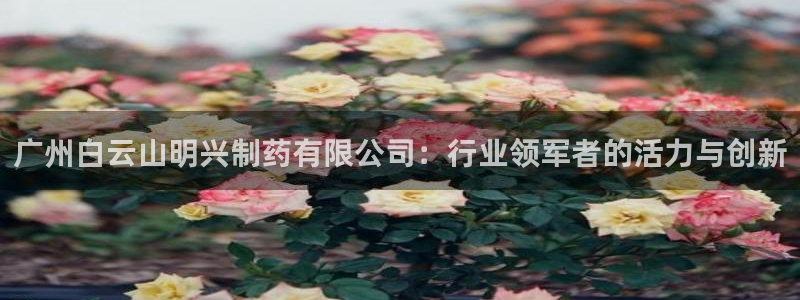 九游会老哥俱乐部必备的交流社区：广州白云山明兴制药有限公司：行业领军者的活力与创新