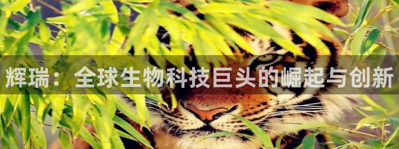 ag九游会老哥俱乐部：辉瑞：全球生物科技巨头的崛起与创新