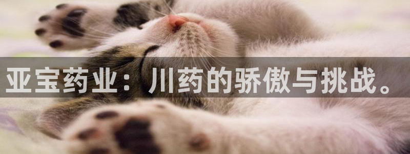 9游会老哥：亚宝药业：川药的骄傲与挑战。