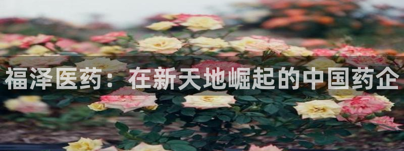 九游老哥俱乐部官网登录：福泽医药：在新天地崛起的中国药企