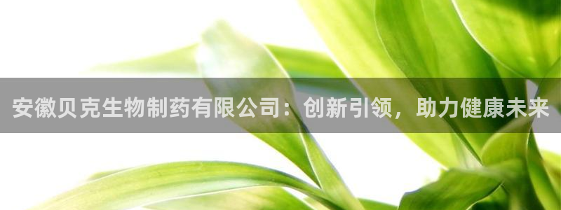 九游会老哥：安徽贝克生物制药有限公司：创新引领，助力健康未来