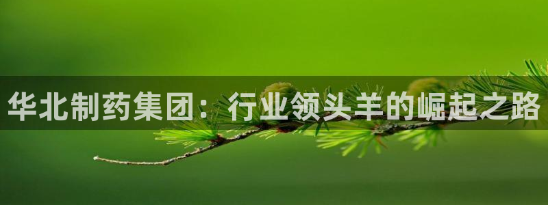 九游会老哥俱乐部官方网站：华北制药集团：行业领头羊的崛起之路