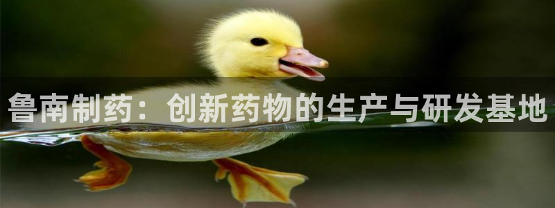老哥俱乐部是干什么的：鲁南制药：创新药物的生产与研发基地