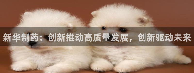九游会老哥：新华制药：创新推动高质量发展，创新驱动未来