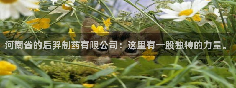 九游老哥俱乐部登录：河南省的后羿制药有限公司：这里有一股独特的力量。