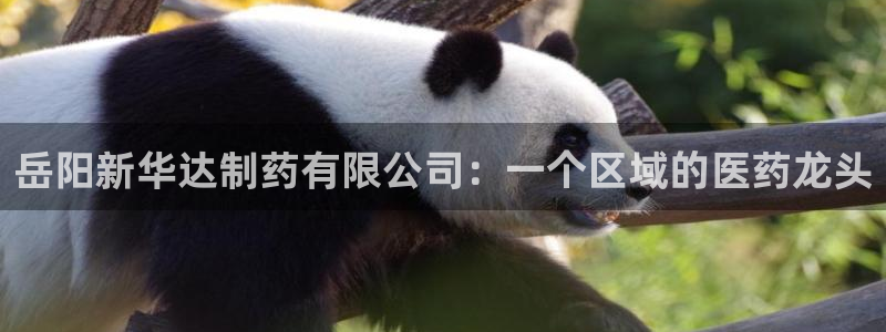 9游会老哥俱乐部：岳阳新华达制药有限公司：一个区域的医药龙头