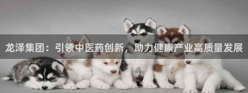 j9九游会老哥俱乐部交流区：龙泽集团：引领中医药创新，助力健康产业高质量发展