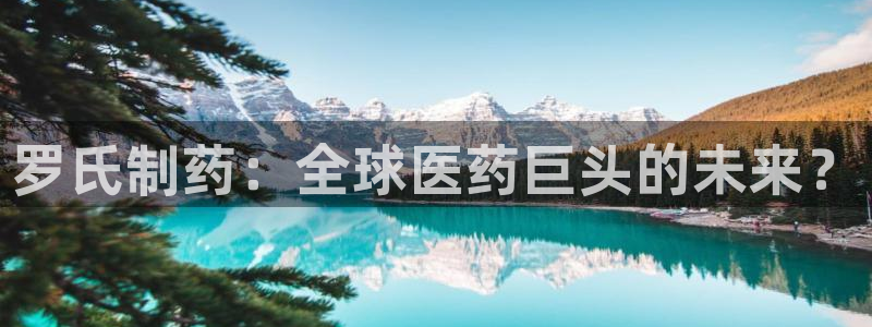 九游老哥俱乐部登录：罗氏制药：全球医药巨头的未来？