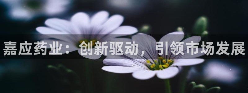 老哥俱乐部是干什么的啊