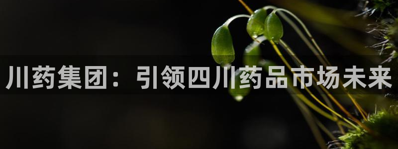9游会老哥：川药集团：引领四川药品市场未来