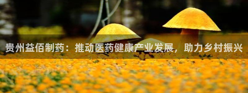 j9九游会老哥俱乐部交流区：贵州益佰制药：推动医药健康产业发展，助力乡村振兴