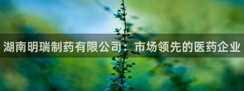 ag九游会老哥：湖南明瑞制药有限公司：市场领先的医药企业