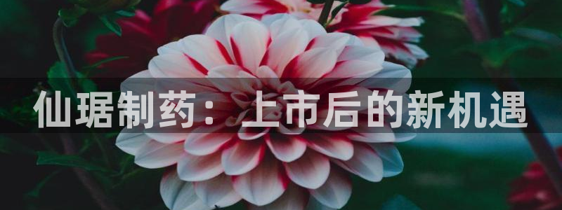9游会老哥俱乐部：仙琚制药：上市后的新机遇