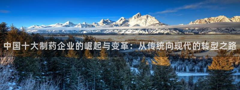 九游会老哥俱乐部必备的交流社区：中国十大制药企业的崛起与变革：从传统向现代的转型之路
