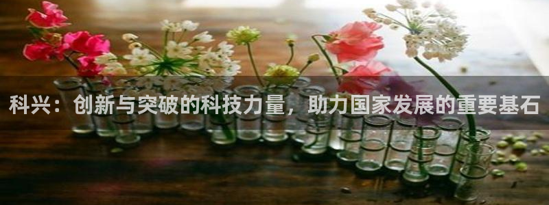 九游老哥俱乐部官网登录：科兴：创新与突破的科技力量，助力国家发展的重要基石