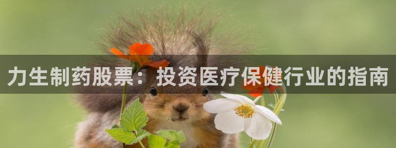 9游会老哥：力生制药股票：投资医疗保健行业的指南