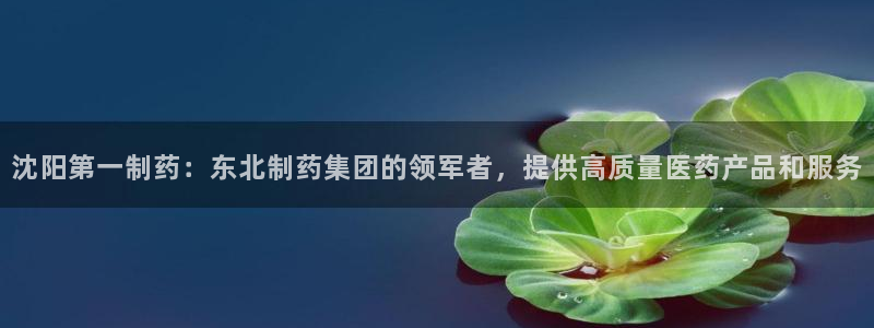 九游会老哥俱乐部必备的交流社区：沈阳第一制药：东北制药集团的领军者，提供高质量医药产品和服务