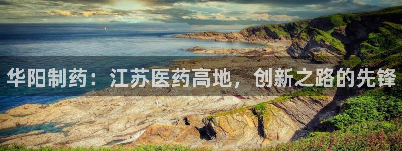 老哥吧九游会：华阳制药：江苏医药高地，创新之路的先锋