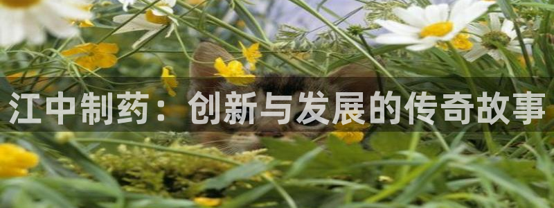 九游会老哥俱乐部：江中制药：创新与发展的传奇故事