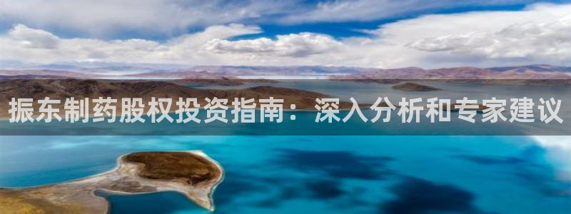 九游老哥俱乐部官网登录不了：振东制药股权投资指南：深入分析和专家建议