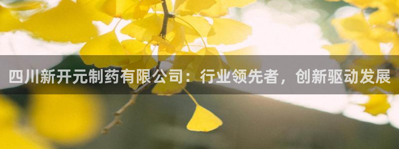 9游会老哥俱乐部：四川新开元制药有限公司：行业领先者，创新驱动发展