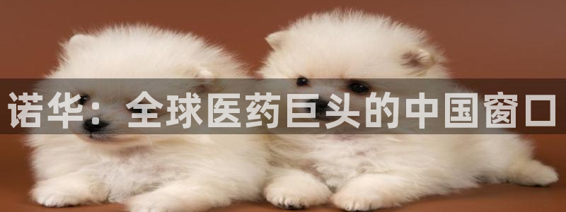 ag九游会老哥俱乐部