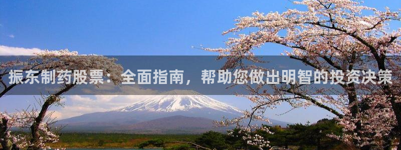 九游会老哥俱乐部官网首页论坛：振东制药股票：全面指南，帮助您做出明智的投资决策