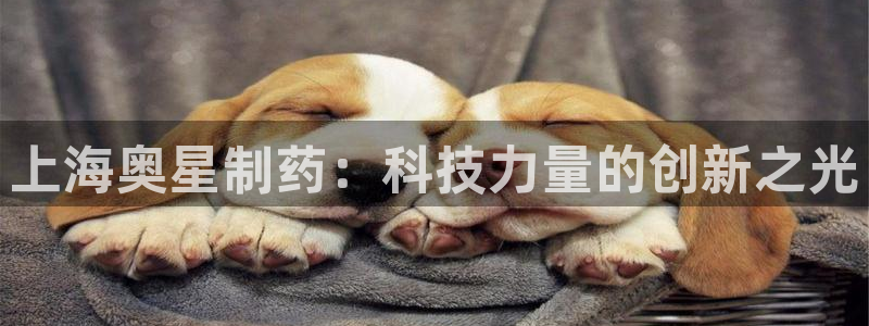 九游会老哥俱乐部官网首页论坛：上海奥星制药：科技力量的创新之光