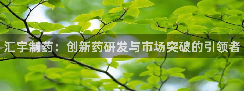 usdt九游会老哥俱乐部：汇宇制药：创新药研发与市场突破的引领者