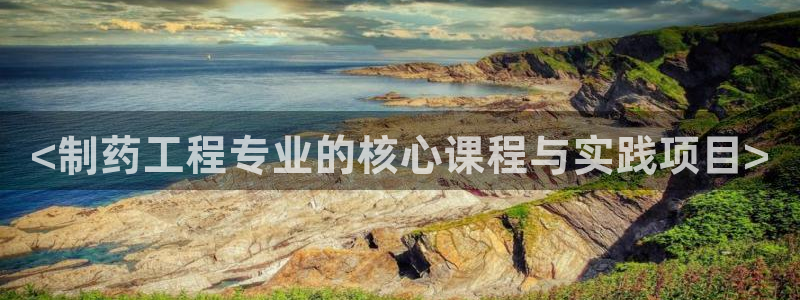 九游会老哥：<制药工程专业的核心课程与实践项目>