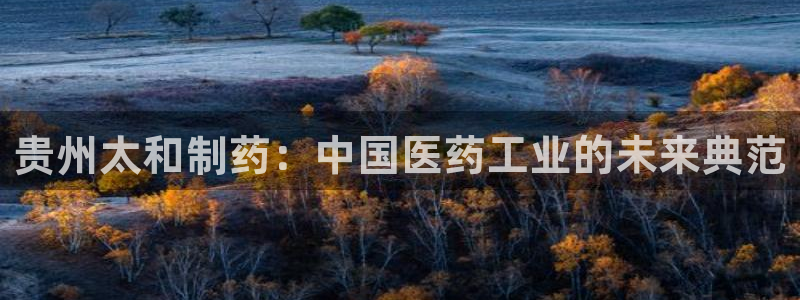 九游会老哥俱乐部社区论坛：贵州太和制药：中国医药工业的未来典范