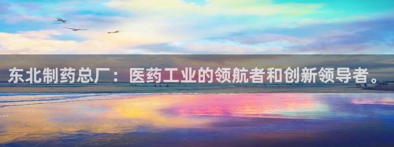 九游会老哥必备的交流社区九：东北制药总厂：医药工业的领航者和创新领导者。